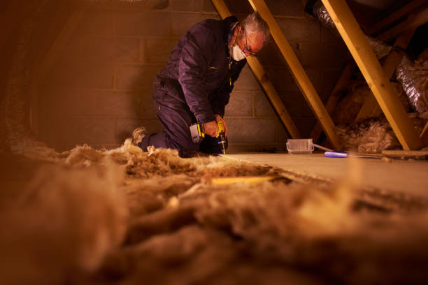 Professional Insulation Contractor in Woodville, TX