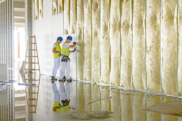 Best Energy Efficiency Insulation in Woodville, TX